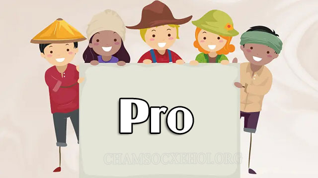 “Pro” được sử dụng phổ biến trong giới trẻ nhờ sự thuận tiện khi giao tiếp